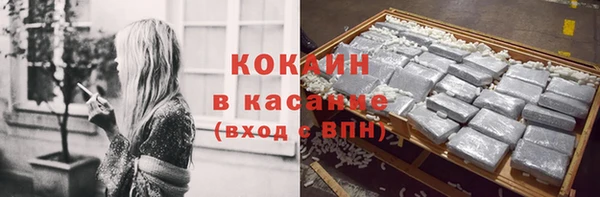 ПСИЛОЦИБИНОВЫЕ ГРИБЫ Вяземский