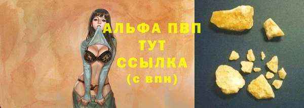 ПСИЛОЦИБИНОВЫЕ ГРИБЫ Вяземский