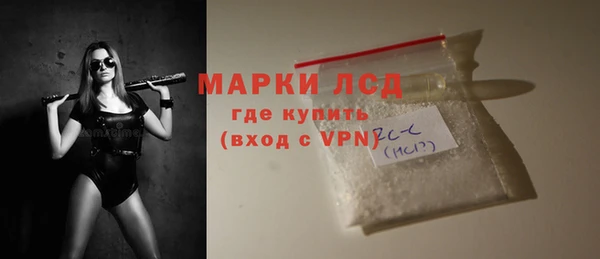 ПСИЛОЦИБИНОВЫЕ ГРИБЫ Вяземский