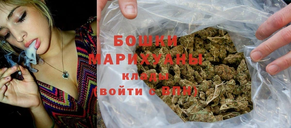 ПСИЛОЦИБИНОВЫЕ ГРИБЫ Вяземский