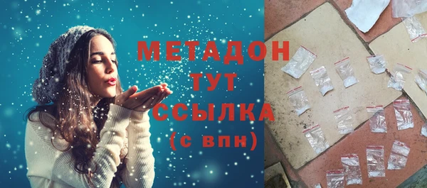 ПСИЛОЦИБИНОВЫЕ ГРИБЫ Вяземский